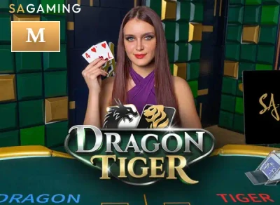 BU88 M Dragon Tiger