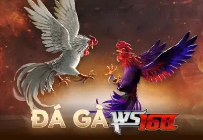 BU88 Đá Gà Live Ws168